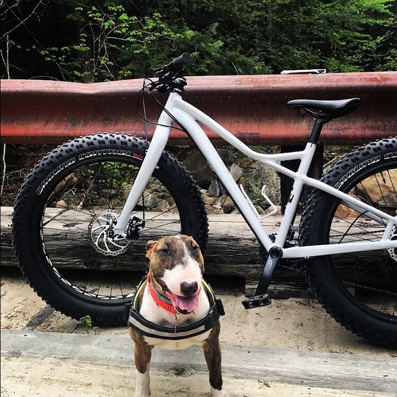 Meet your Posher, Meghan - Picture 4 of 6